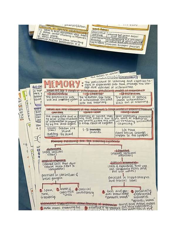 Comparing Rummy Study Notes With Memory-Only Review