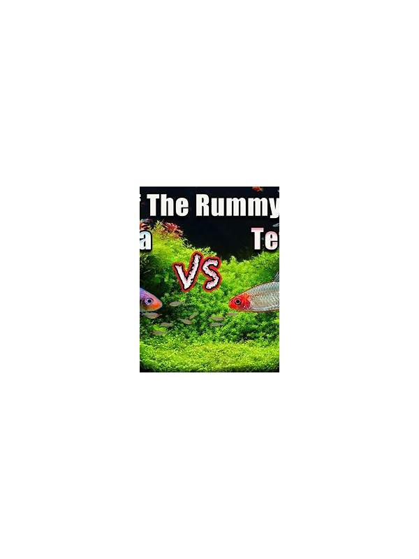 Rummy Comparison: Broad Routes Versus Quick Finishes