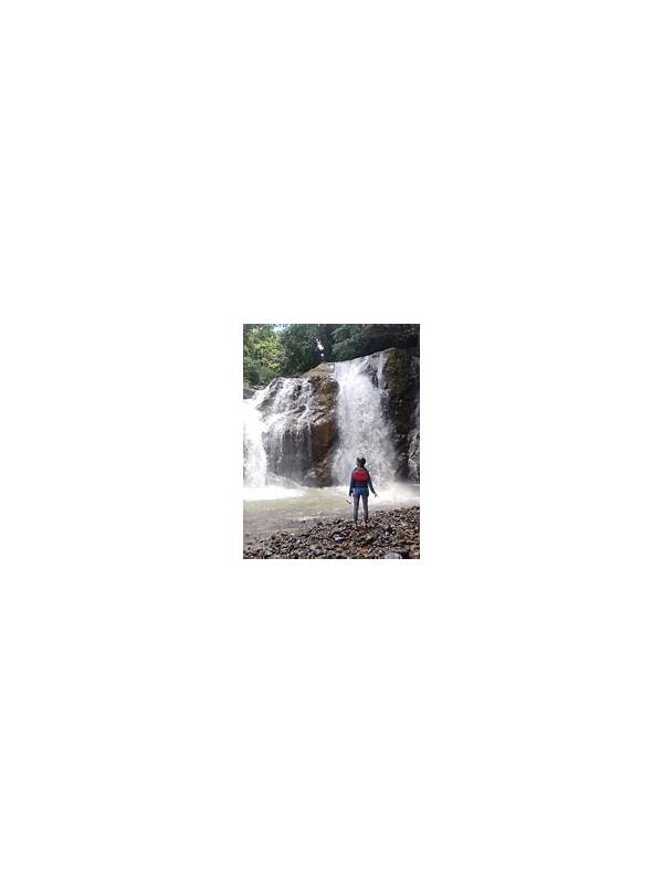 Rummy Comparison: Focused Routes and Reserve Routes